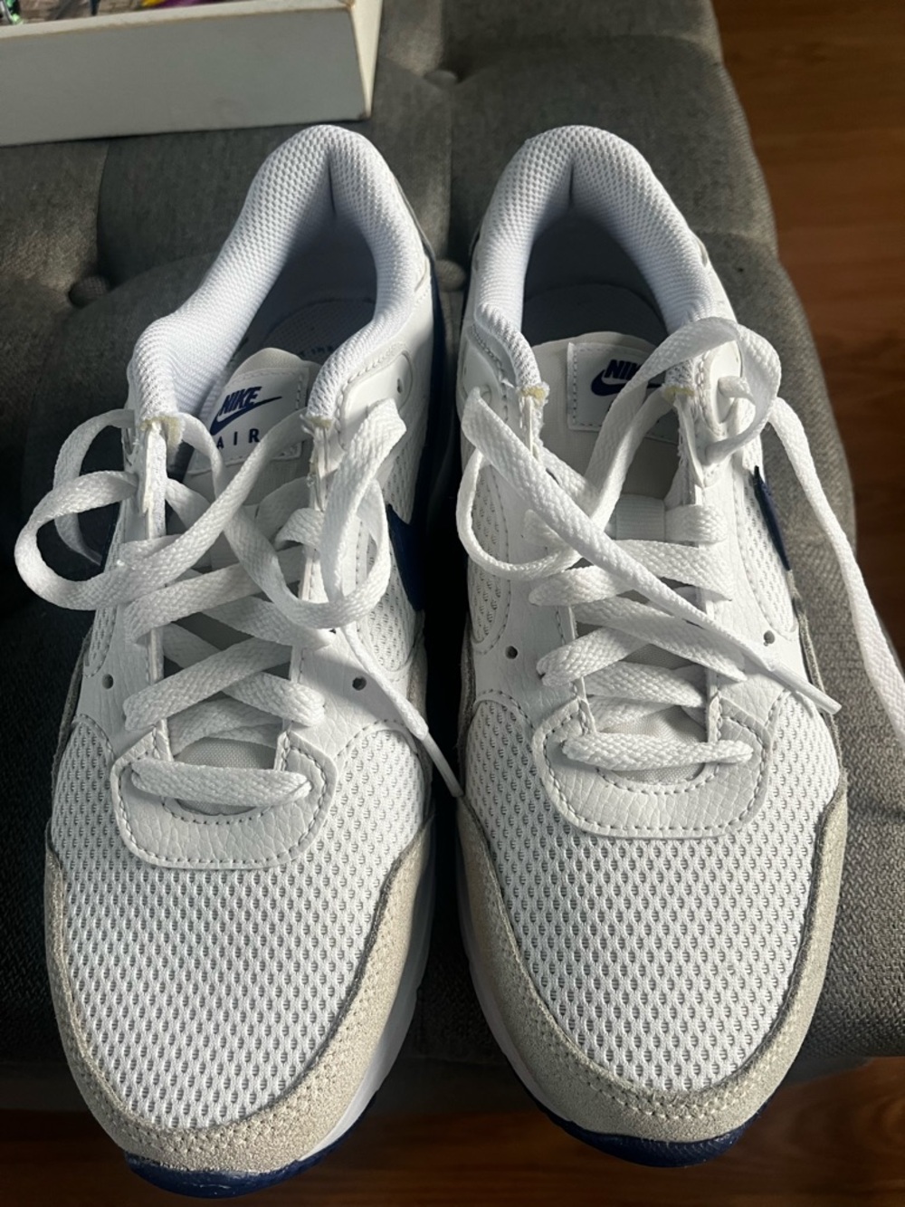 Nike White Sneakers with Navy Logo Accents